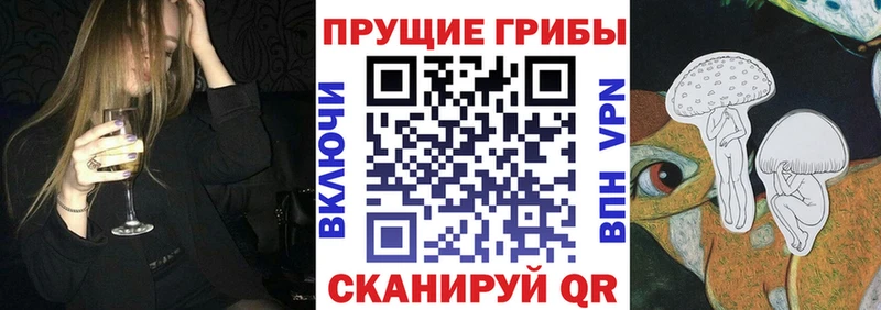Псилоцибиновые грибы Psilocybine cubensis  Абинск 