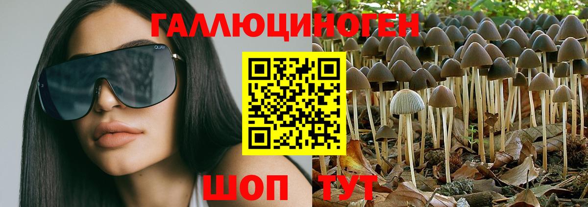 дарнет шоп  Галлюциногенные грибы ЛСД  Вход с VPN  Псилоцибиновые грибы мухоморы  Абинск 